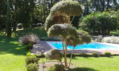 Pool view