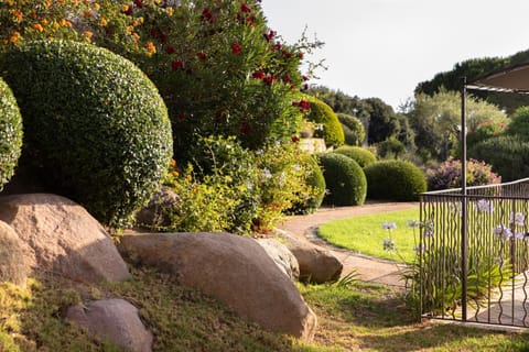 Natural landscape, Garden view