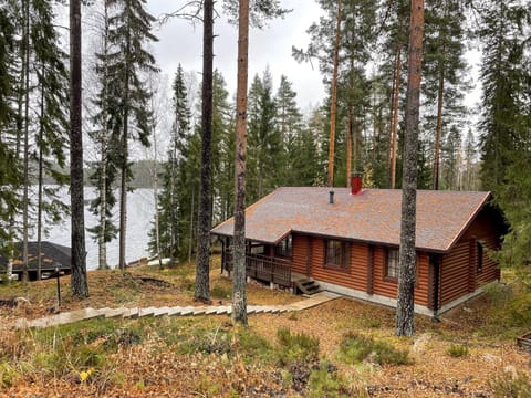 Villa Saimaa House in Finland
