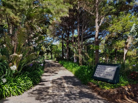 Albatroz Beach & Yacht Club Hotel in Madeira District