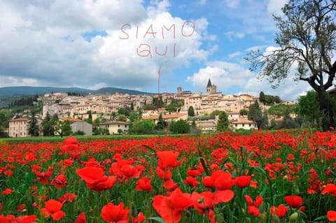 La Buona Ventura Apartment in Spello