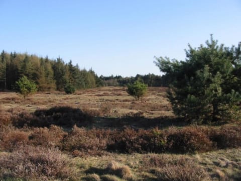 Ferienwohnung Strandzeit Cuxhaven Apartment in Cuxhaven