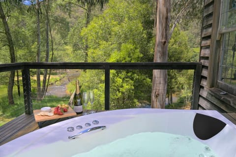 Toorongo River Chalets Nature lodge in Noojee