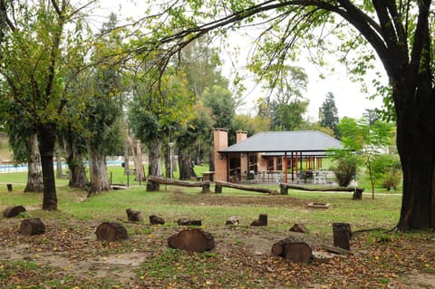 Natural landscape, Garden