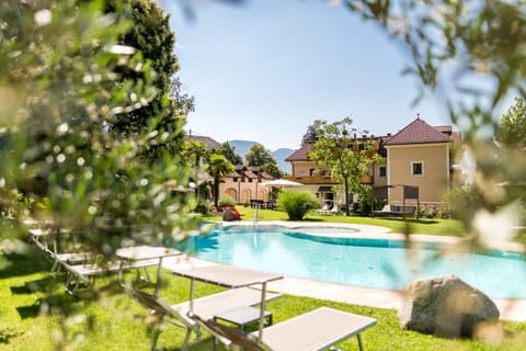 Garden, Swimming pool