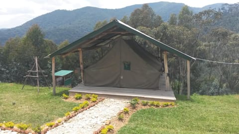 Nyungwe Nziza Ecolodge Natur-Lodge in Tanzania