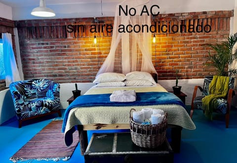 Casa Xochitl Bed and Breakfast in Baja California Sur