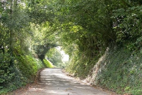 Lower Ford Farm Bed and Breakfast in East Devon District