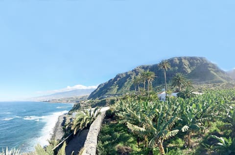 Hacienda El Cardon Villa in Orotava Valley