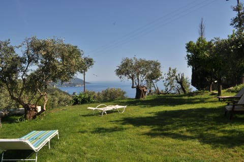 Day, Natural landscape, Summer, Garden, On site, Sea view