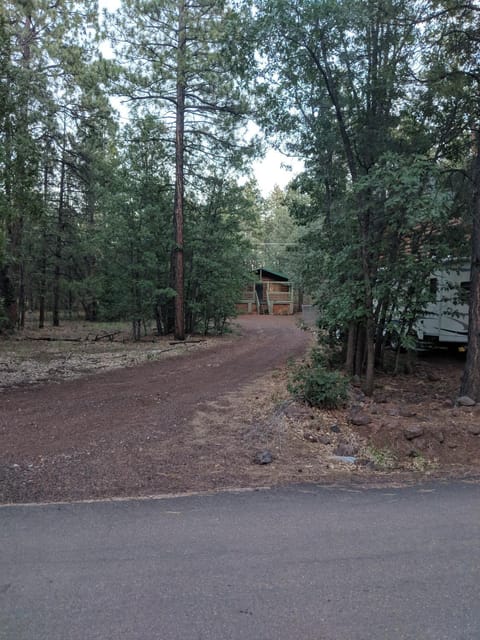 Cozy Cub Log Cabin - Year Round Tranquil Beauty House in Pinetop-Lakeside