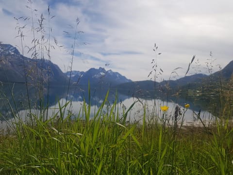 Sjursnes Fjordferie Apartment in Troms Og Finnmark