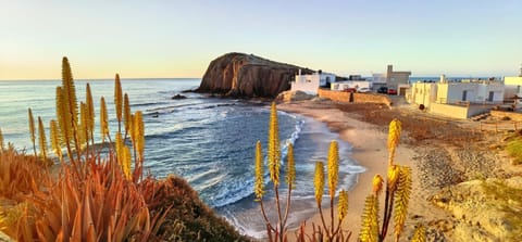 Natural landscape, Beach