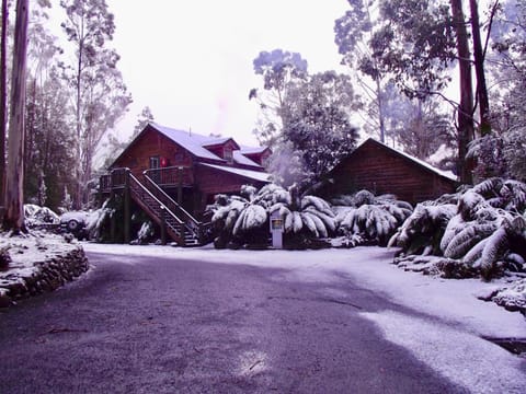 Property building, Winter, Lobby or reception