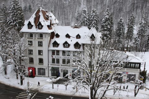 Hotel Rina Cerbul Hotel in Sinaia