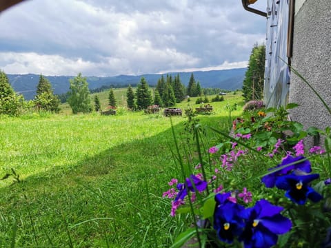 Cabana Dia Belis Nature lodge in Cluj County