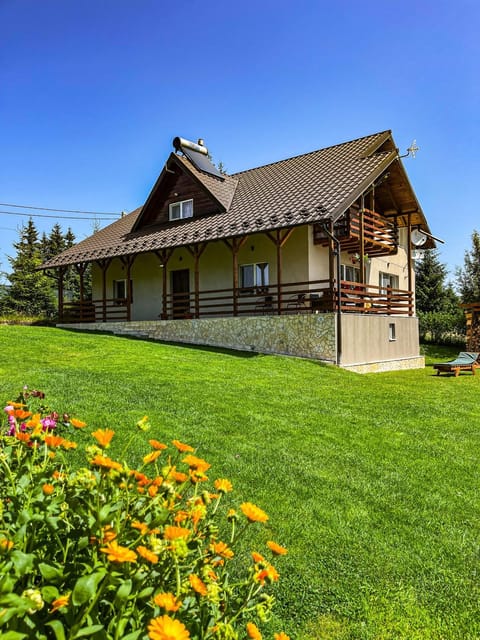 Cabana Dia Belis Nature lodge in Cluj County