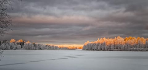 Natural landscape, Winter