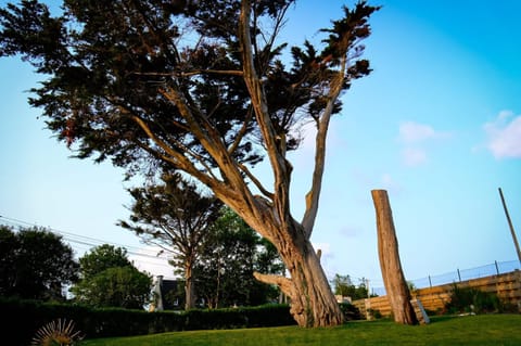 Ty Theven House in Finistere