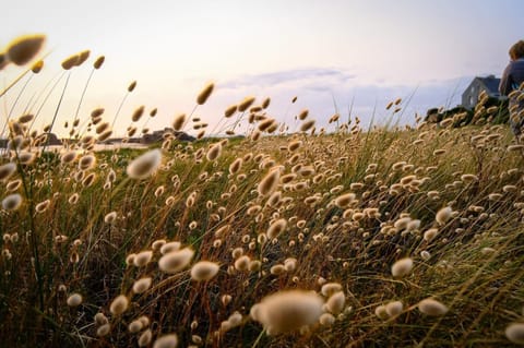 Ty Theven House in Finistere