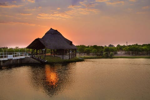 Natural landscape, River view, Sunrise, Sunset