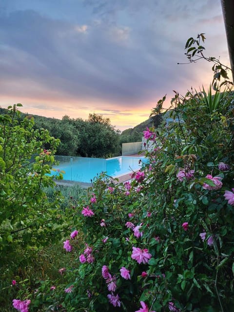 Garden view, Swimming pool