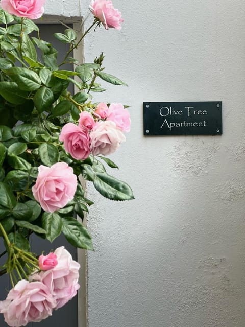 Olive Tree Apartment Hove Condominio in Hove