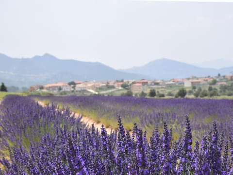 Nearby landmark, Spring, Day, Natural landscape, Mountain view