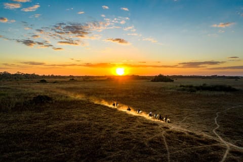 Natural landscape, Horse-riding