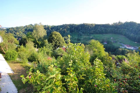 Garden view, Mountain view