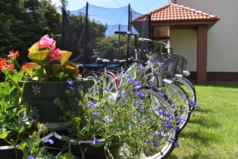 Garden, Cycling, Cycling, Garden view