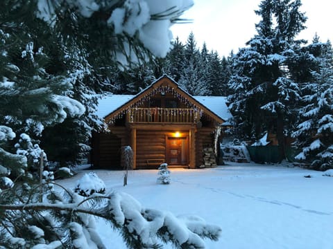 Luxusný zrub Nature lodge in Slovakia