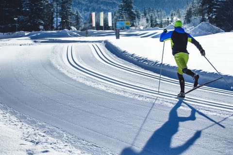 LakeSide Apartments Seefeld Apartment hotel in Seefeld