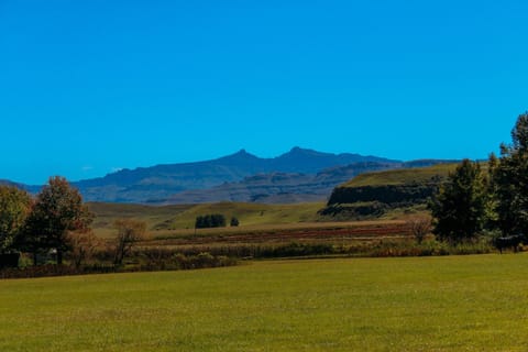 Natural landscape, Garden, Mountain view