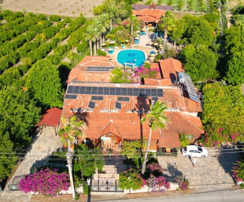 Natural landscape, Bird's eye view, On site, Swimming pool