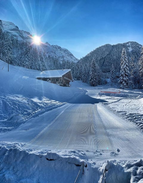 Guest House du Grand Paradis - On Piste Hotel in Haute-Savoie