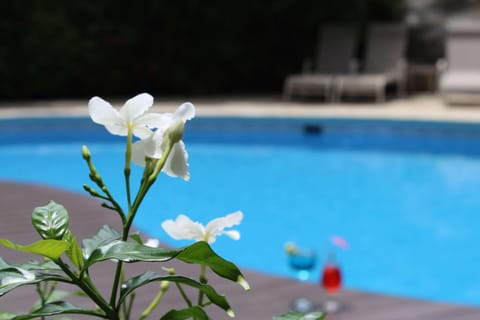 Garden, Pool view, Swimming pool