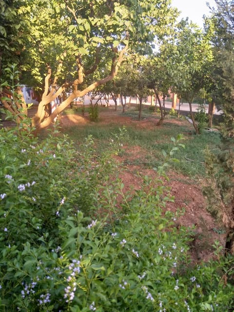 Garden view, Inner courtyard view