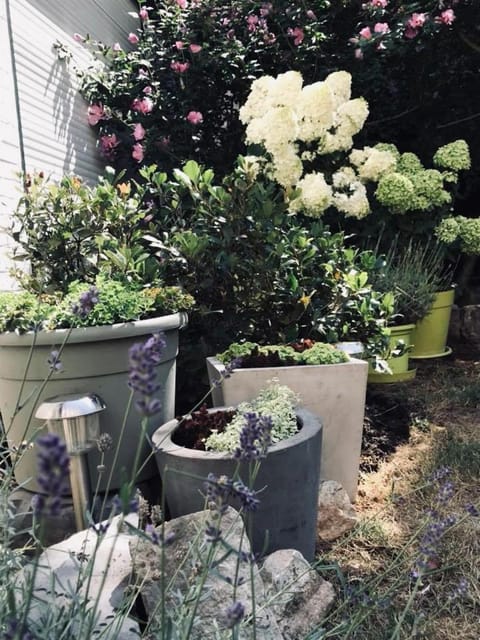 Chambres d'Hôtes Les Foulons Bed and Breakfast in Hauts-de-France