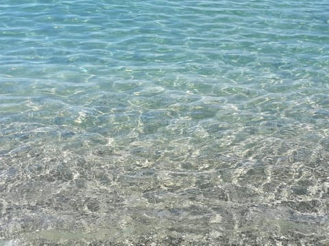 Natural landscape, Beach