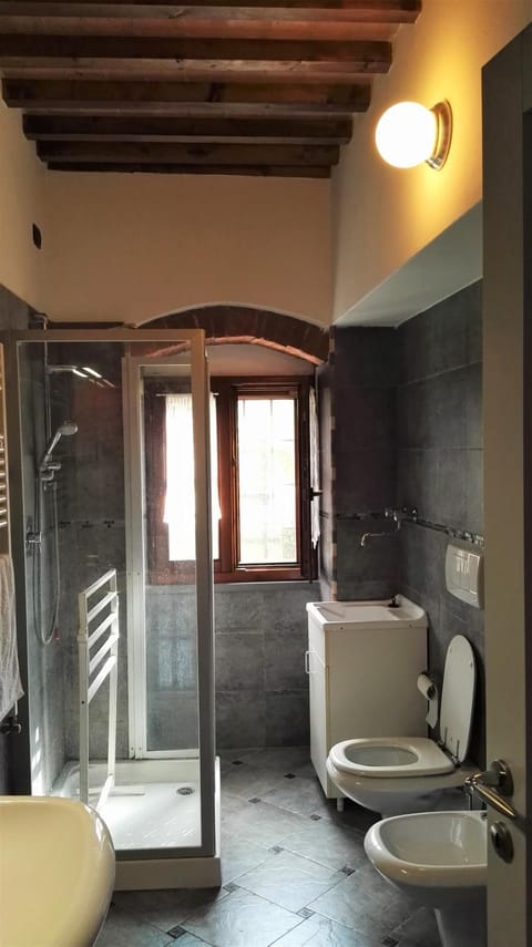 Shower, Toilet, Bathroom, Area and facilities