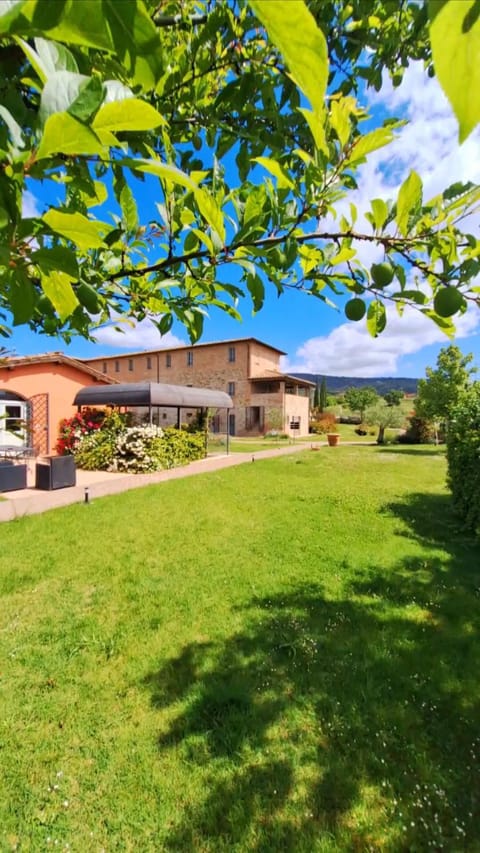 Property building, Spring, Day, Natural landscape, Garden, Garden view