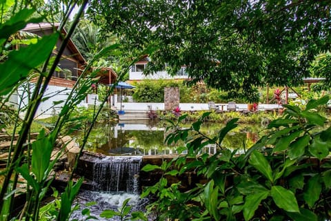 Natural landscape, Garden view, Pool view, Swimming pool