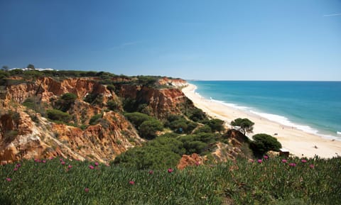 Beach, Area and facilities