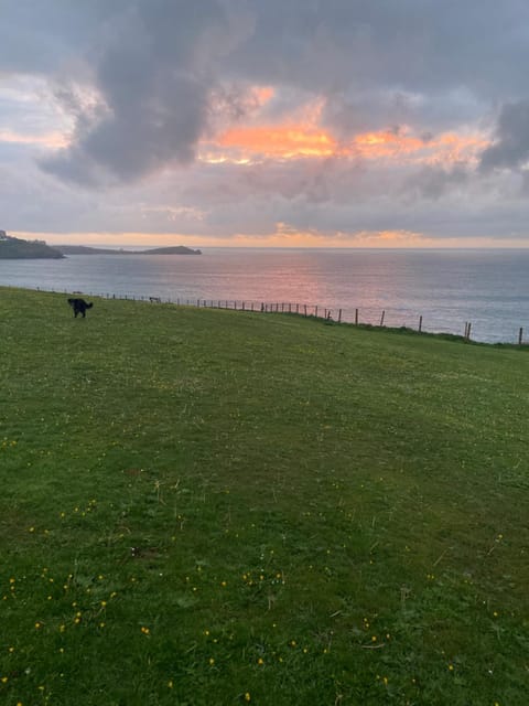 Aquarius B&B Alojamiento y desayuno in Newquay