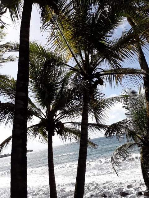 Beach, Sea view