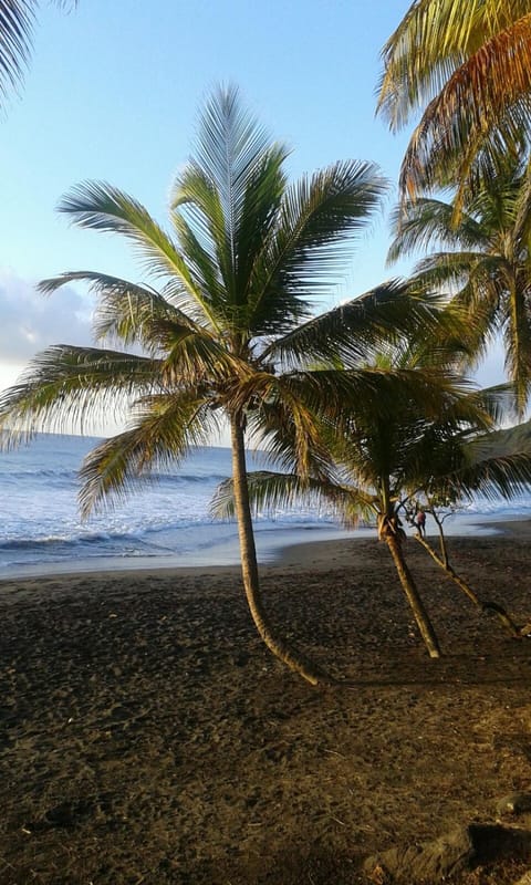 Natural landscape, Beach, Hiking