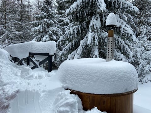 Chalet Račkova dolina Chalet in Slovakia