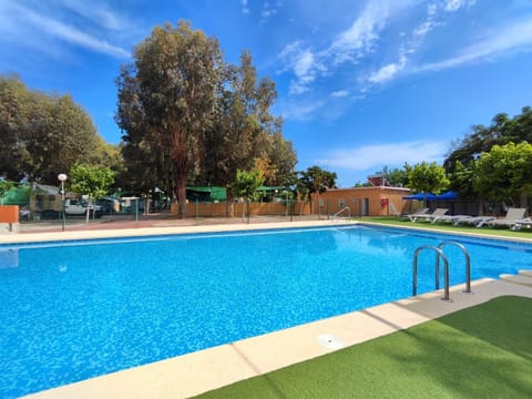 Pool view, Swimming pool, sunbed