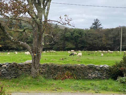 Seaside Cottage House in County Kerry